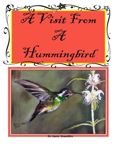 A Visit From A Hummingbird