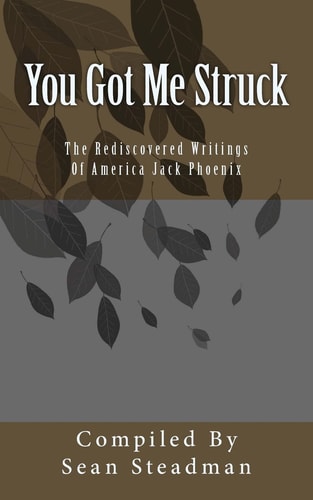 You Got Me Struck The Rediscovered Writings Of America Jack Phoenix