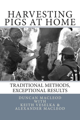 Harvesting Pigs at Home Traditional Methods, Exceptional Results
