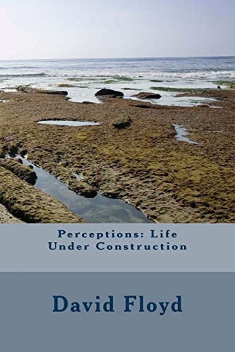 Perceptions Life Under Construction