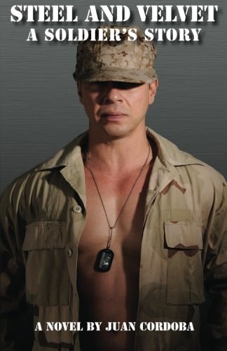 Steel and Velvet A Soldier's Story