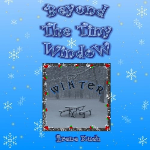 Beyond The Tiny Window Winter