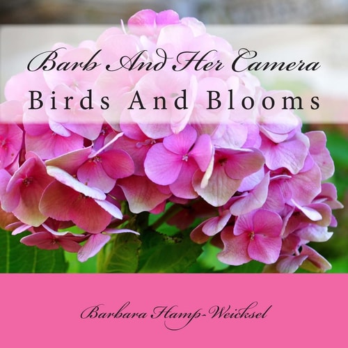 Barb And Her Camera Birds and Blooms