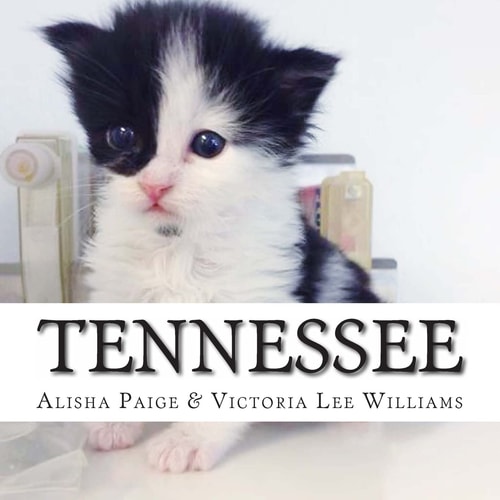 Tennessee This Is the True Life Story of a Cat Who Survived Against All Odds to Become an Amazing Therapy Cat for Veterans and Children