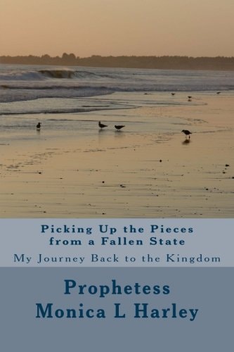 Picking Up the Pieces from a Fallen State My Journey Back to the Kingdom