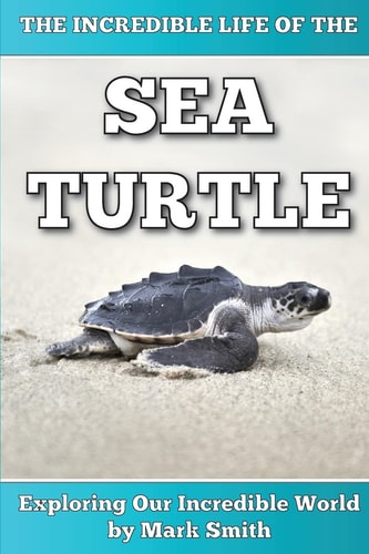 The Incredible Life of the Sea Turtle Fun Animal Ebooks for Adults and Kids 7 and Up with Incredible Photos (Exploring Our Incredible World Series)