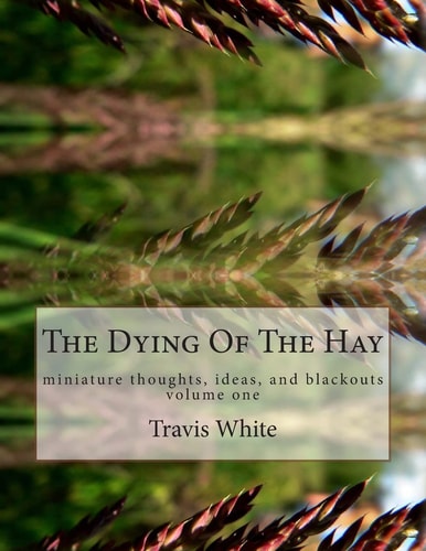 The Dying Of The Hay Miniature Thoughts, Ideas, and Blackouts