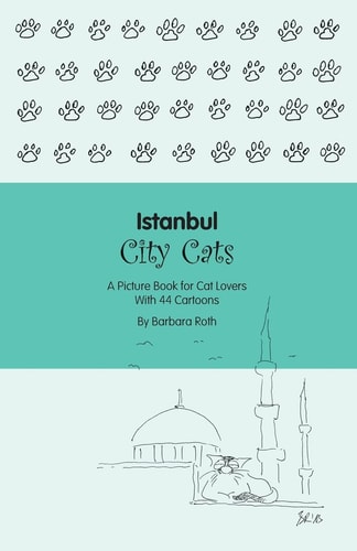 Istanbul City Cats