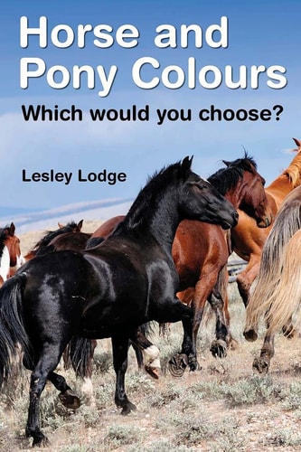 Horse and Pony Colours Which One Would You Choose?