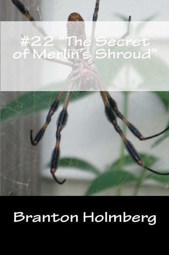 #22 "The Secret of Merlin's Shroud" Sam 'n Me(TM) Adventure Books