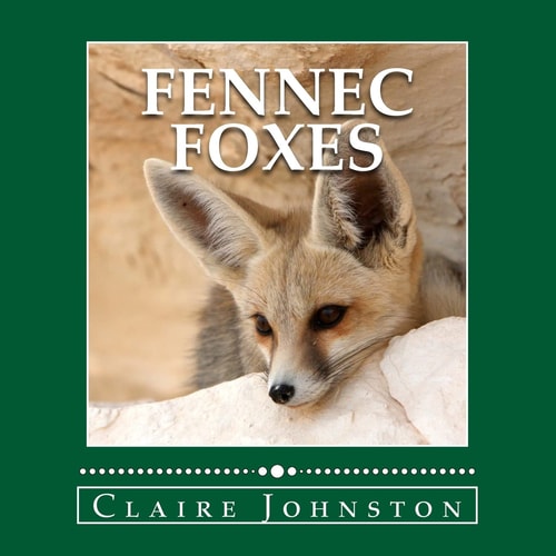 Fennec Foxes Wily Desert Hunters (the My Favorite Animals Series)