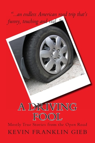 A Driving Fool Mostly True Stories from the Open Road