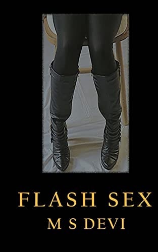 Flash Sex A Collection of Mildly Erotic Flash Fiction Stories.