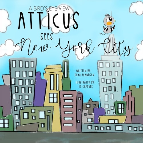 A Bird's Eye View Atticus Sees New York City