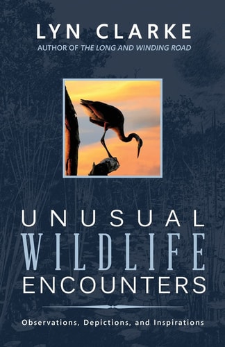 Unusual Wildlife Encounters Observations, Depictions, and Inspirations