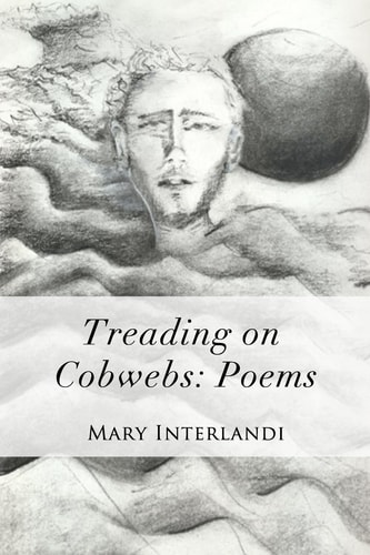 Treading on Cobwebs Poems
