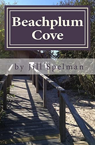 Beachplum Cove A Novel