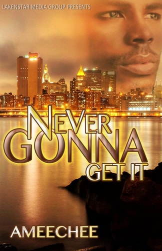 Never Gonna Get It