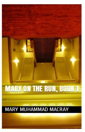 Mary On The Run Book I