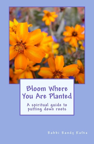 Bloom Where You Are Planted A Spiritual Guide to Putting Down Roots