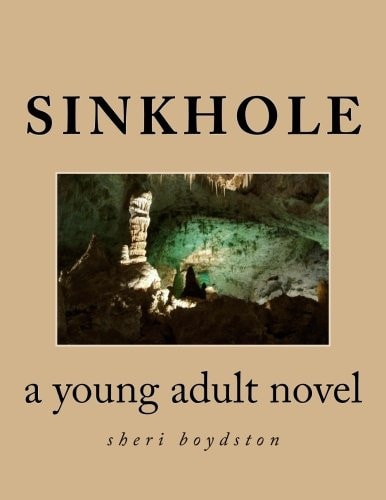 Sinkhole A Young Adult Novel