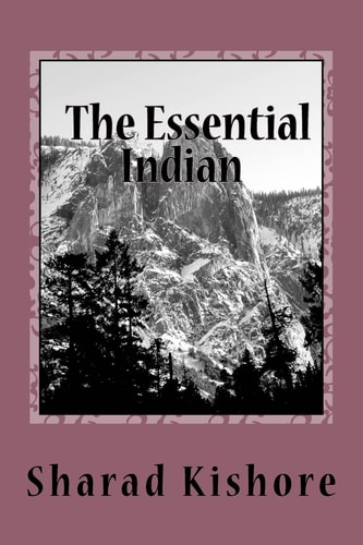 The Essential Indian (a Simple Guide to Hindi Words and Hindi Culture) Hindi Man