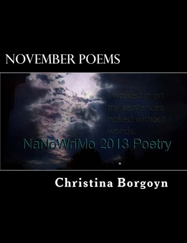 November Poems NaNoWriMo 2013