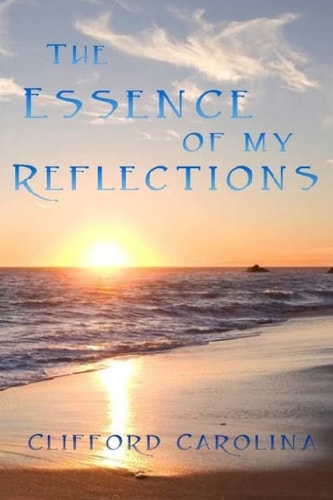 The Essence of My Reflections