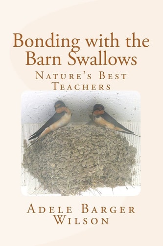 Bonding with the Barn Swallows Nature's Best Teachers