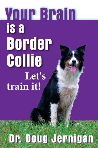 Your Brain is a Border Collie Building the Life You Want, Doggie Style!