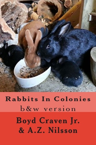 Rabbits in Colonies Grayscale