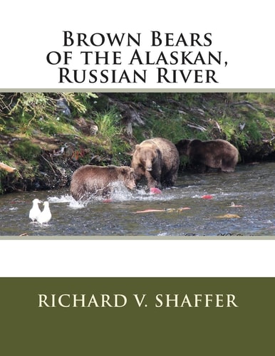 Brown Bears of the Alaskan, Russian River