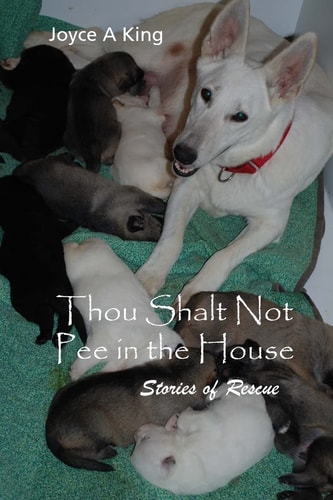 Thou Shalt Not Pee in the House Fostering and Rescuing Homeless Animals