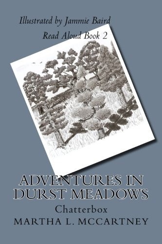 Adventures In Durst Meadows Chatterbox