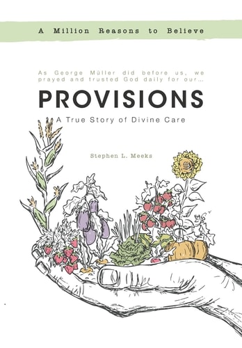 Provisions A True Story of Divine Care
