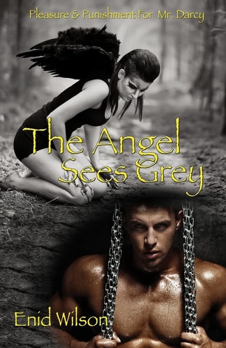 The Angel Sees Grey Pleasure and Punishment for Mr. Darcy
