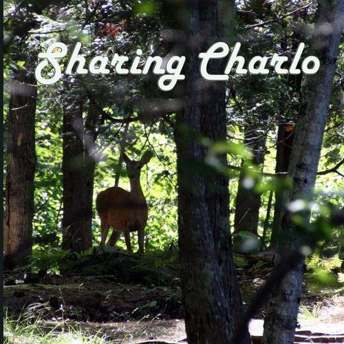 Sharing Charlo 2013