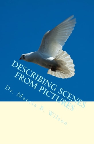 Describing Scenes from Pictures