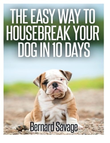 The Easy Way To Housebreak Your Dog In 10 Days
