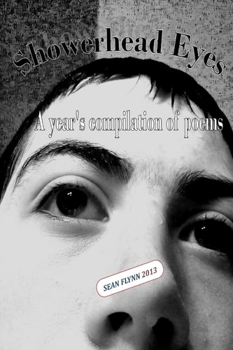 Showerhead Eyes A Year's Compilation of Poems