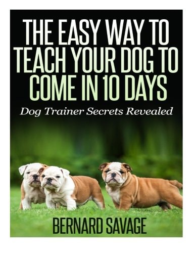 The Easy Way To Teach Your Dog To Come In 10 Days