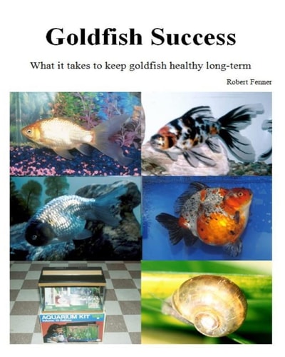 Goldfish Success What it Takes to Keep Goldfish Healthy Long-term