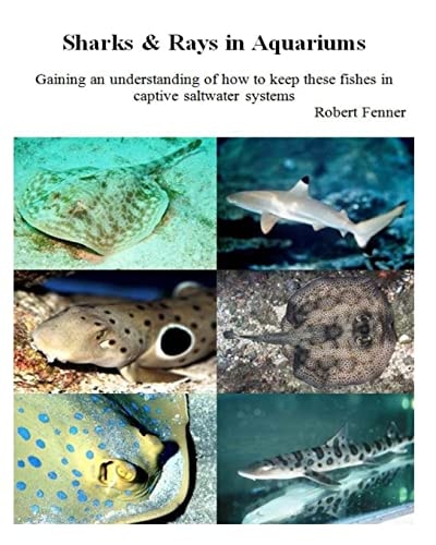 Sharks and Rays in Aquariums Gaining an Understanding of How to Keep These Fishes in Captive Saltwater Systems