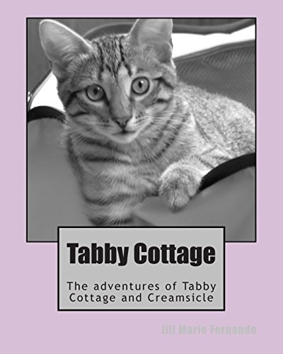 Tabby Cottage The Adventures of Tabby Cottage and Creamsicle