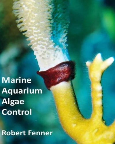 Marine Aquarium Algae Control The Ins and Outputs of Algal Introduction, Identification and Management in Captive Seawater Systems
