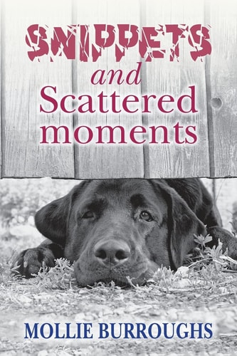 Snippets and Scattered Moments