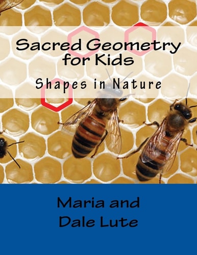 Sacred Geometry for Kids Shapes in Nature