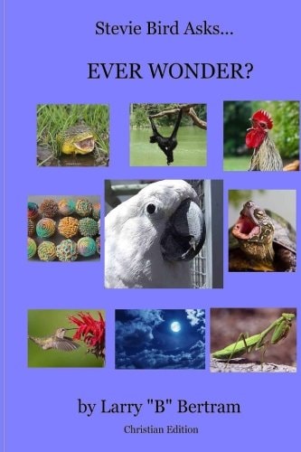 Stevie Bird Asks, Ever Wonder? Christian Edition