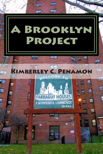 A Brooklyn Project Urban Book of Poems Inspired by Farragut Projects
