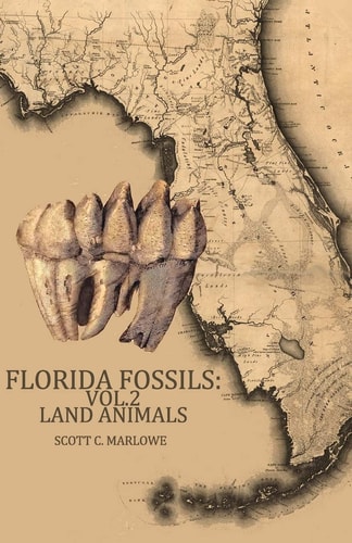 Florida Fossils Land Animals